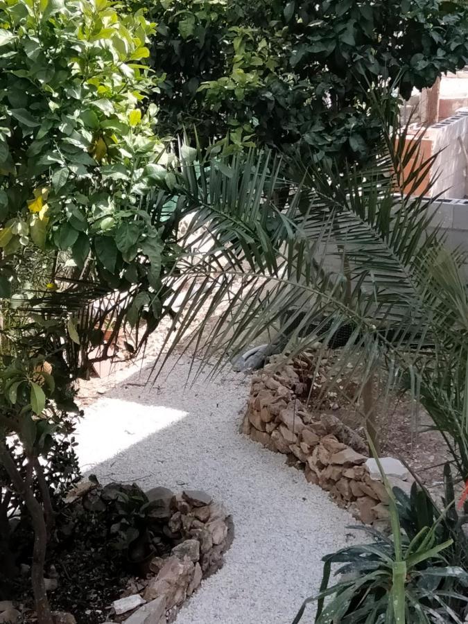 Mayari Moraira Luaran gambar